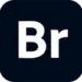 Adobe Bridge CC icon