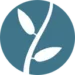 Lumion Pro