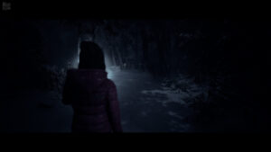 Until Dawn 2