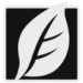 skinfiner-logo