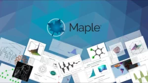 Maplesoft Maple 1