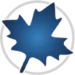 668ba9a018d85 maplesoft maple Icon