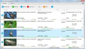 Any Video Downloader Pro 2