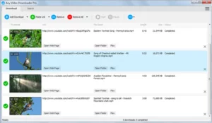 Any Video Downloader Pro 3
