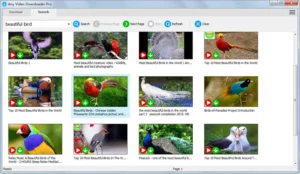 Any Video Downloader Pro 4