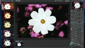 Topaz Studio 3