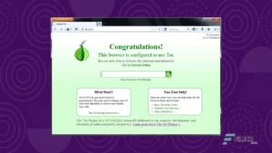 Tor Browser 3