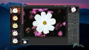 Topaz Studio 5
