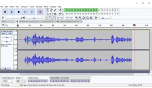 Voicemod Pro 2