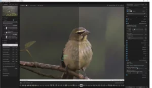 Exposure X7 Bundle 3