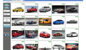 Bulk Image Downloader 1