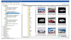 Extreme Picture Finder 1