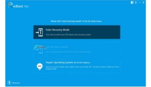 Tenorshare ReiBoot Pro 2