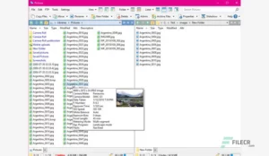 Directory Opus Pro 4