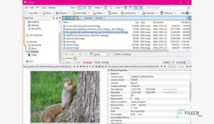 Directory Opus Pro 6