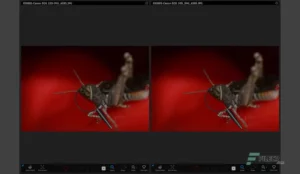IDimager Photo Supreme 4