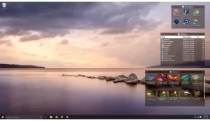 Stardock Fences 2