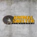 Animal Shelter Family Bundle torrent