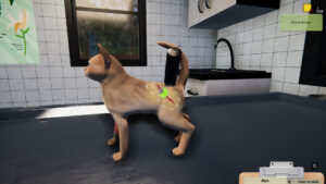 Animal Shelter 5