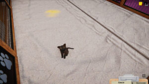 Animal Shelter 3