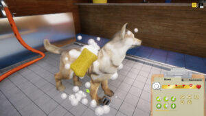 Animal Shelter 1