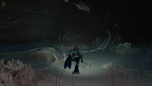 Endless Ocean Luminous 2