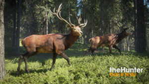 theHunter: Call of the Wild 3