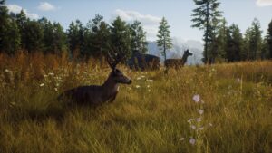 Way of the Hunter 5