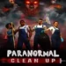paranormal cleanup torrent