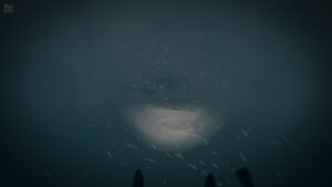 The Last Ski Trip 1